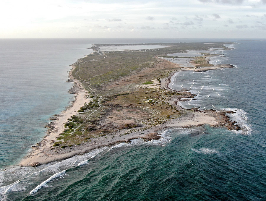 Island Of Salt Cay Salt Cay Divers